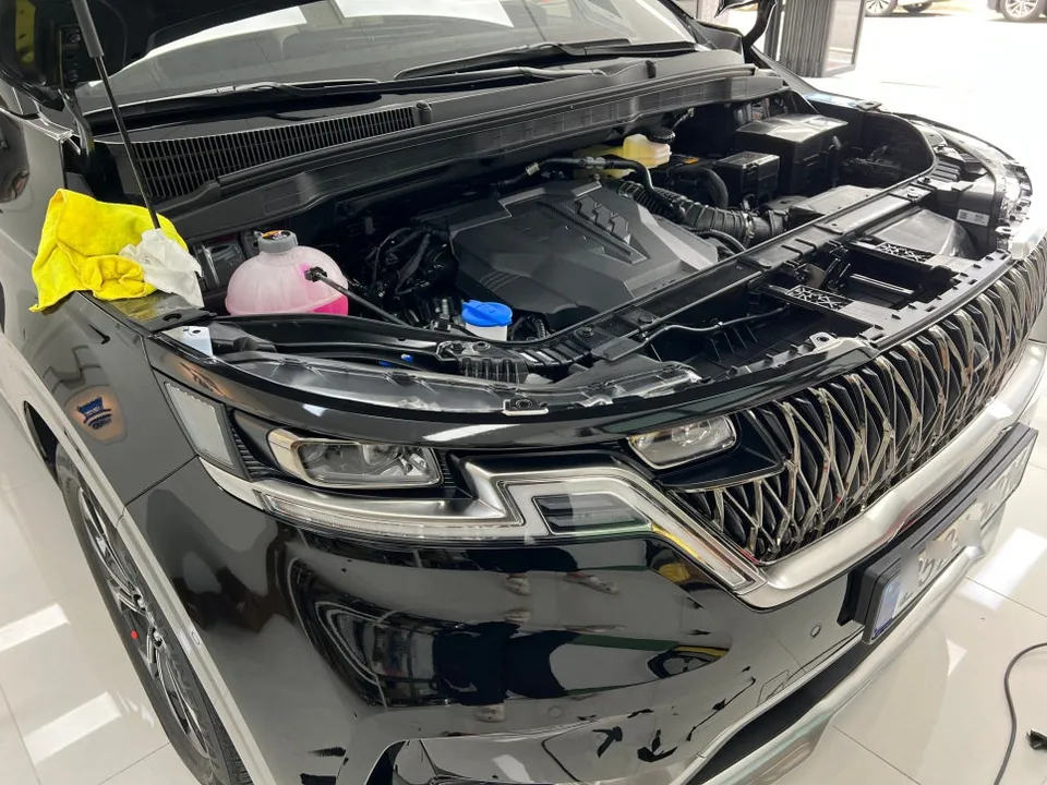 Kia Carnival KA4のカーラッピング事例 施工写真 1-2