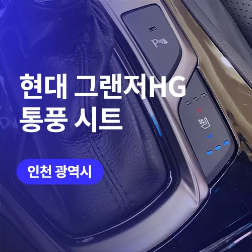 Hyundai Azera other - Hyundai Azera Ventilated Seat Auto Service Review — Enhanced Comf photo 3