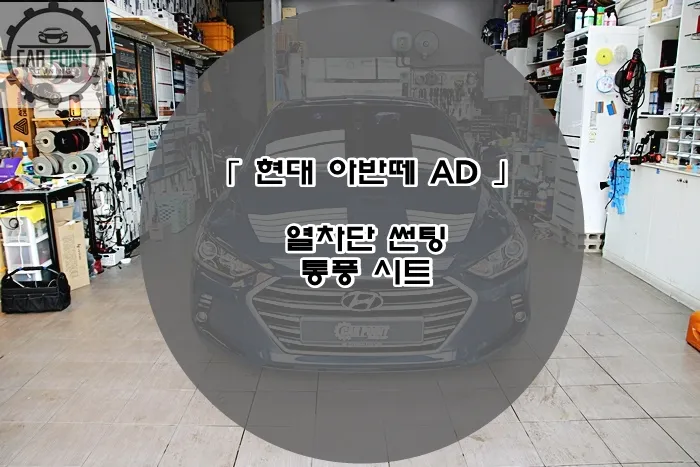 Hyundai Elantra ADのカーフィルム施工事例｜費用目安・仕上がり 写真