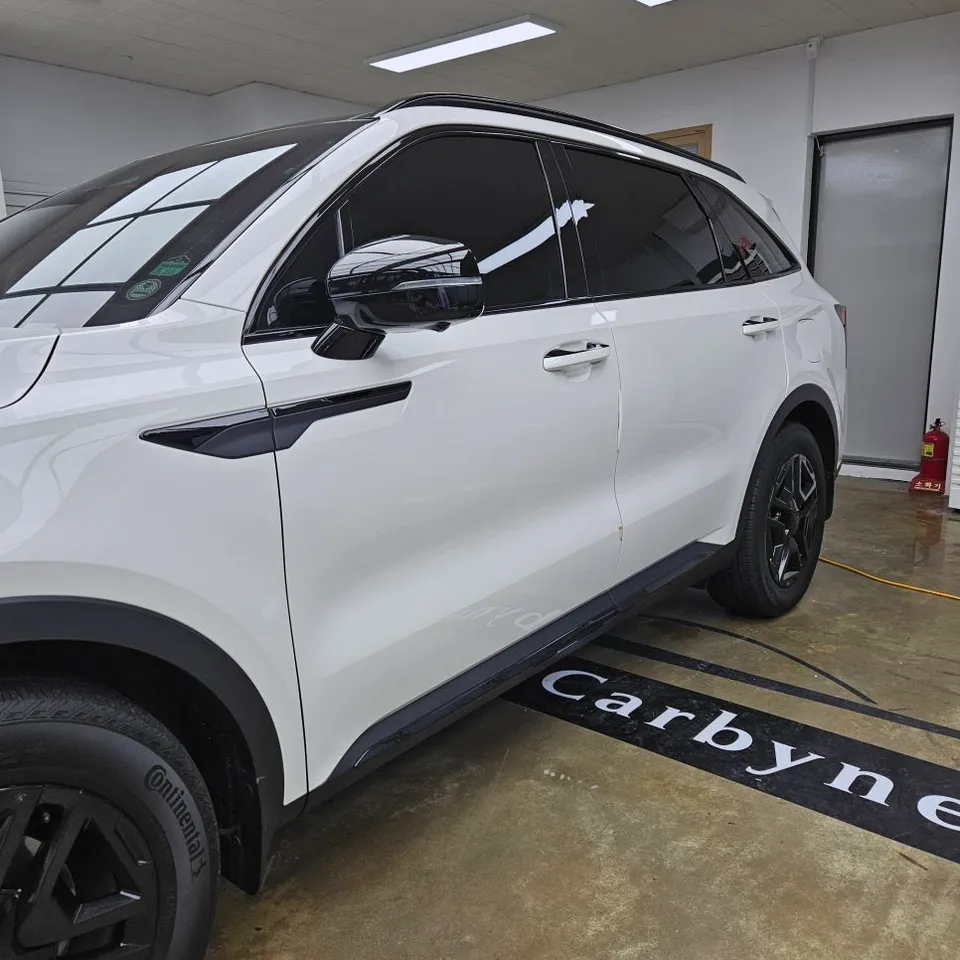 Kia Sorento MQ4のドアキャッチラッピング事例 施工写真 3-2