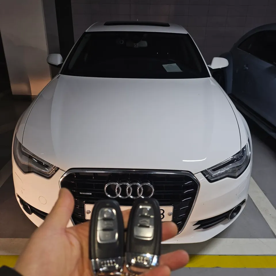 Audi A6 oem options installation result