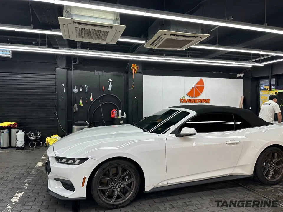 Ford Mustang 7th Gen vinyl wrap - Ford Mustang 7th Gen Vinyl Wrap Review: Cost & Results photo 3
