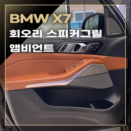 BMW X7 ambient lighting installation result