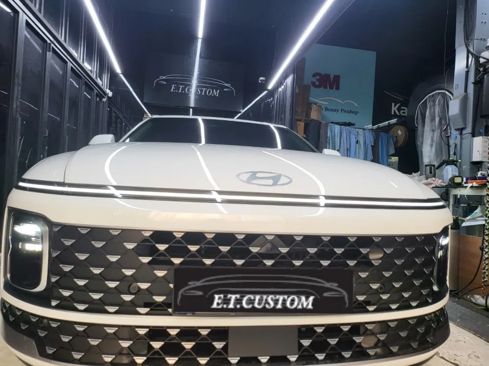 Lexus RX PPF Review — Ultimate Paint Protection & Flawless Finish photo 2