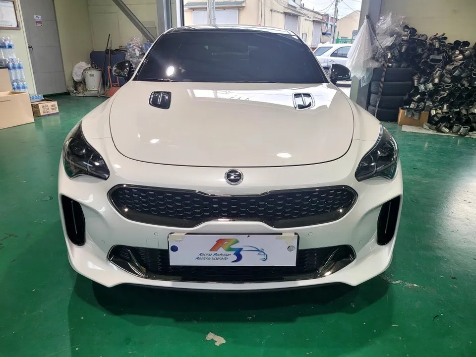 Kia Stinger LED Upgrade Review: Enhanced Lighting photo 1