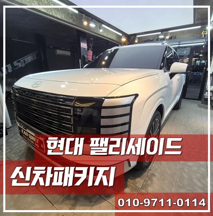 Hyundai Palisade new car package installation result