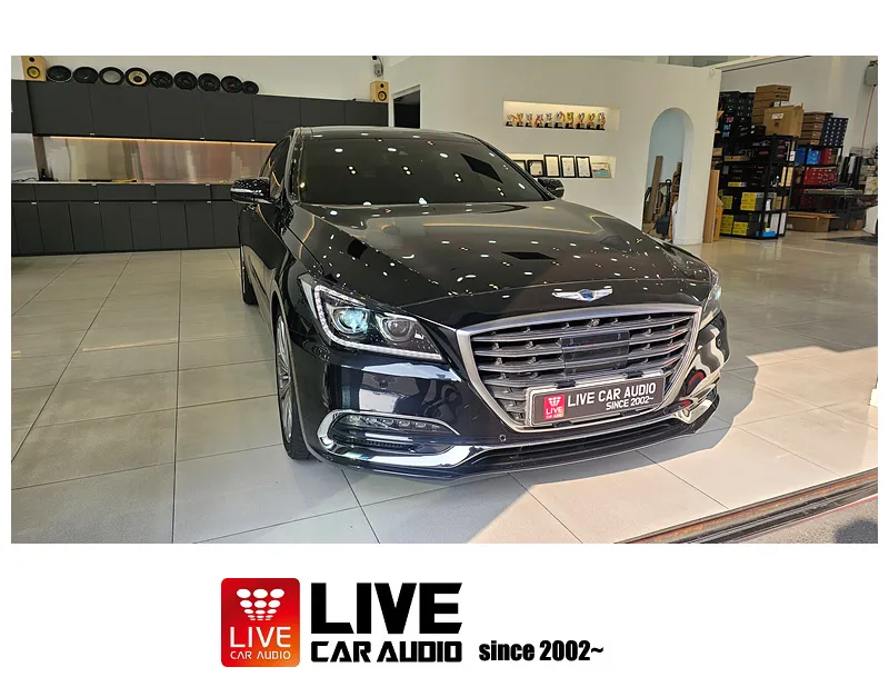 Genesis G80 Audio Upgrade Review: Enhanced Sound photo 2