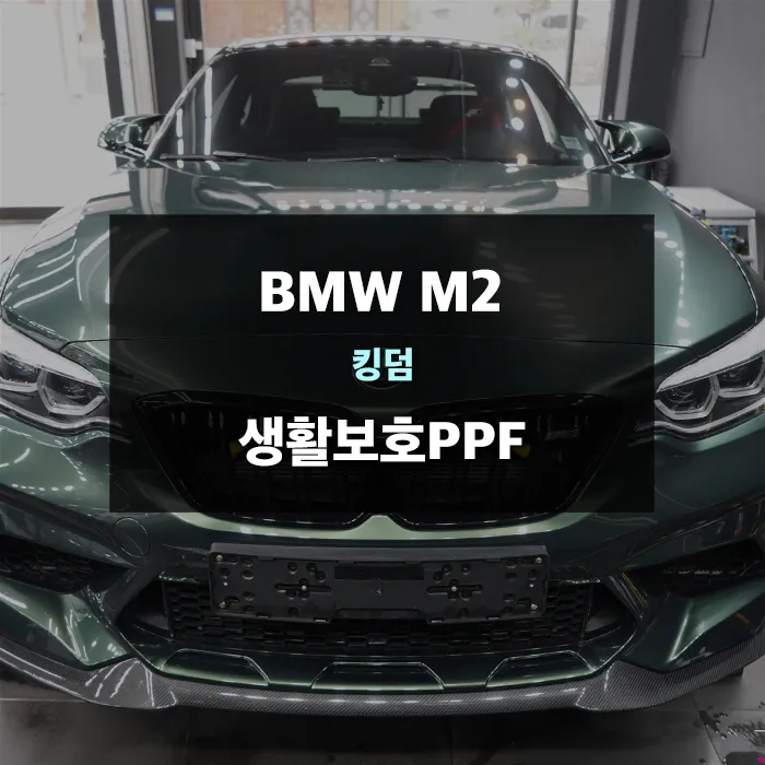 BMW M2 F87 ppf review