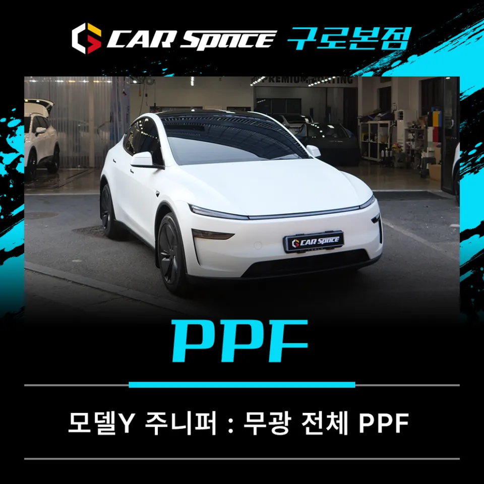 Tesla Model Y Matte PPF Review: Stunning Transformation