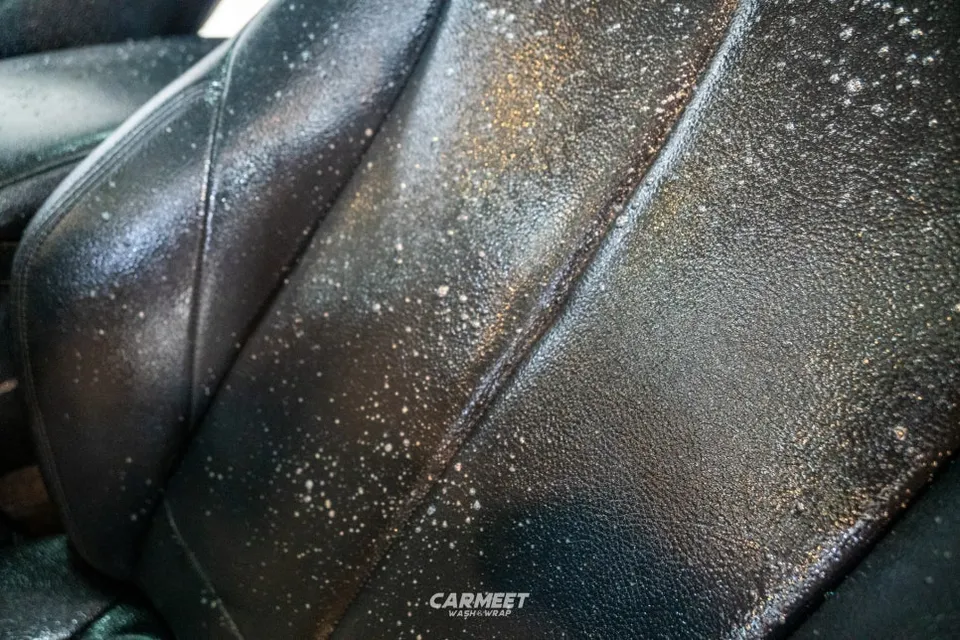 BMW 1 Series paint correction - BMW 1 Series Paint Correction Review — Under $400 photo 4
