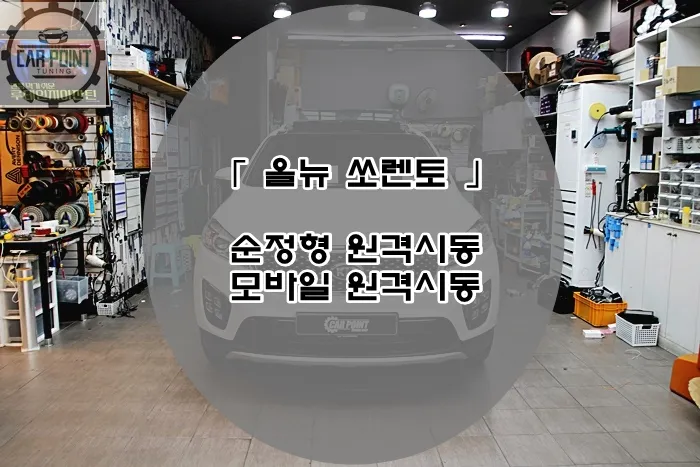 Kia Sorento oem options installation result