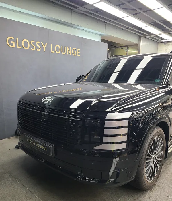 Hyundai Palisade vinyl wrap - Hyundai Palisade All-Black Vinyl Wrap Review photo 6