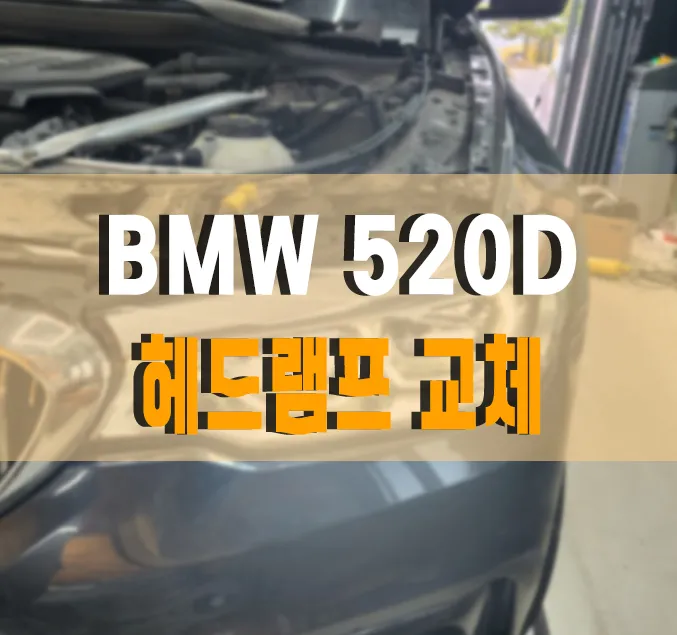 BMW 5 Series G30 lighting upgrade installation result
