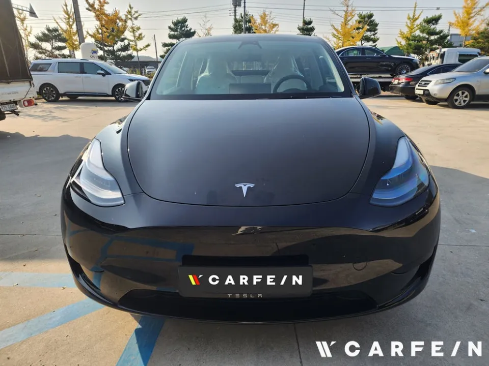 Tesla Model Y New Car Protection Package Review
