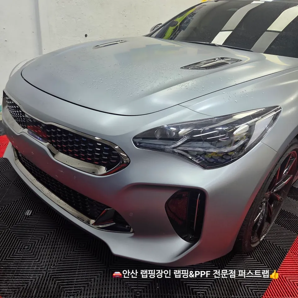 Kia StingerのPPF施工事例|無光モデルの保護 施工写真 2-1