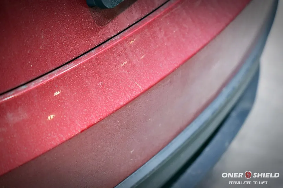 Tesla Model 3のガラスコーティング事例:費用目安と仕上がり 施工写真 2-1