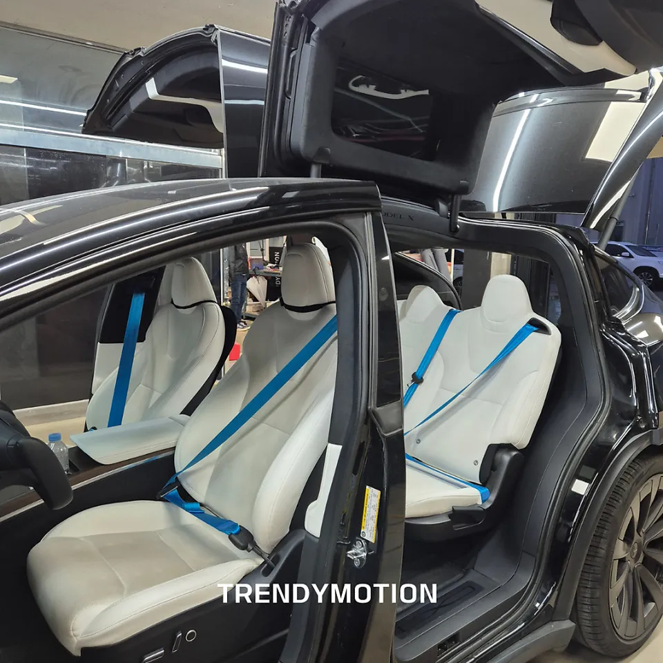 Tesla Model X ambient lighting - Tesla Model X Ambient Lighting Review — Cost & Results photo 3