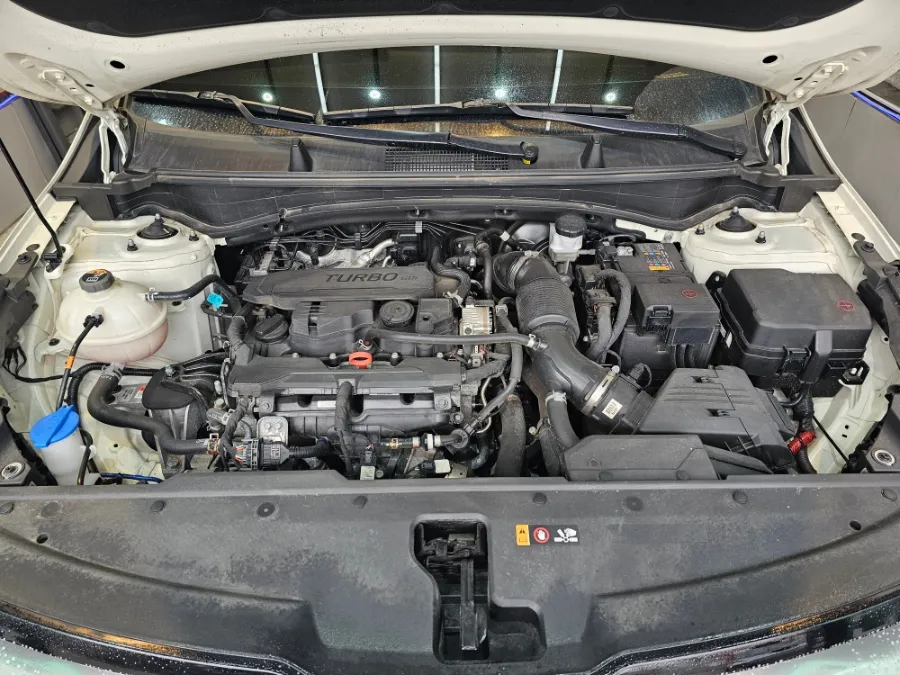 Kia Sportageのガラスコーティング事例|費用目安と仕上がり 施工写真 2-3