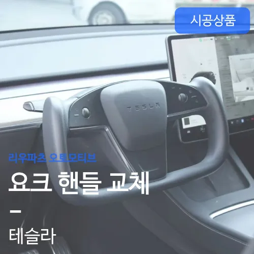 Tesla Model Y Steering Wheel Customization Review photo 1