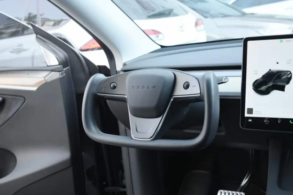 Tesla Model Y steering wheel - Tesla Model Y Steering Wheel Customization Review photo 3
