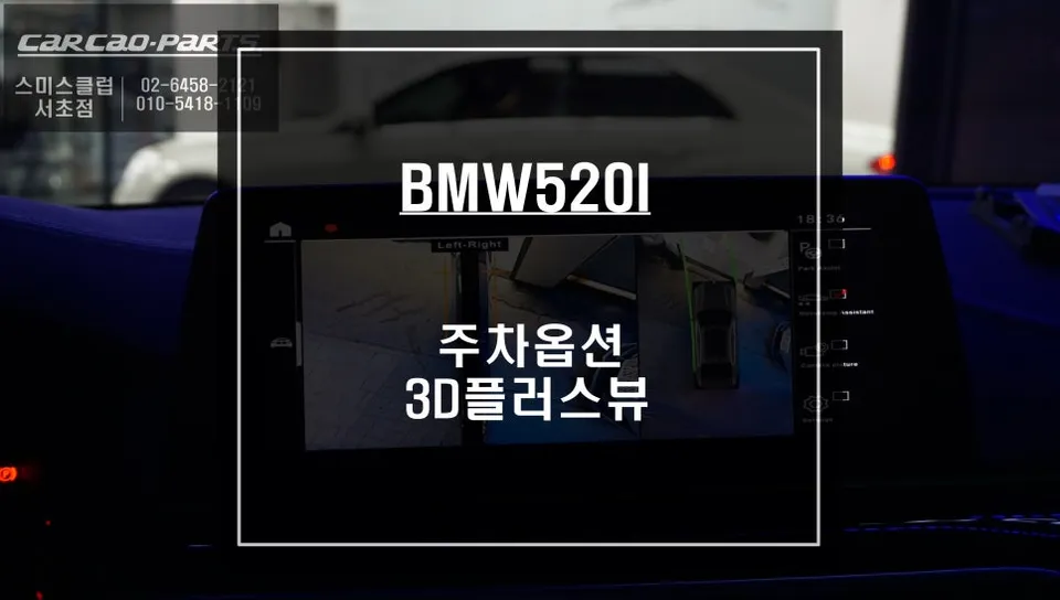 BMW 520i surround view camera review