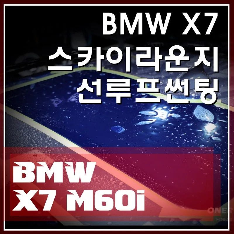 BMW X7 M60i ppf installation result