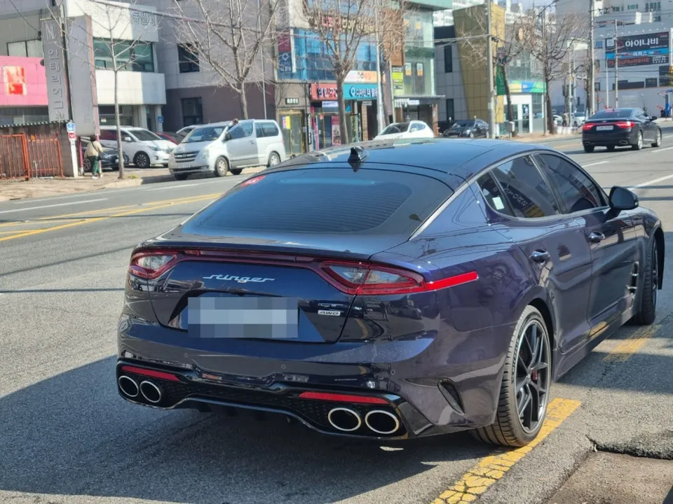 Kia Stinger Performance Upgrade Review: Cost & Results After