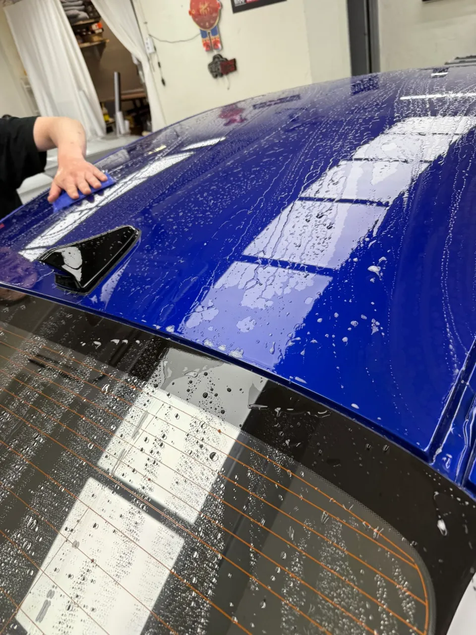 Hyundai Elantra N PPF施工事例|費用目安・仕上がり 施工写真 3-2
