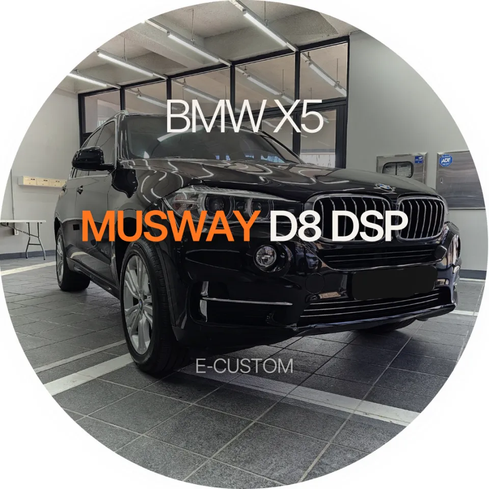 BMW X5 car audio review
