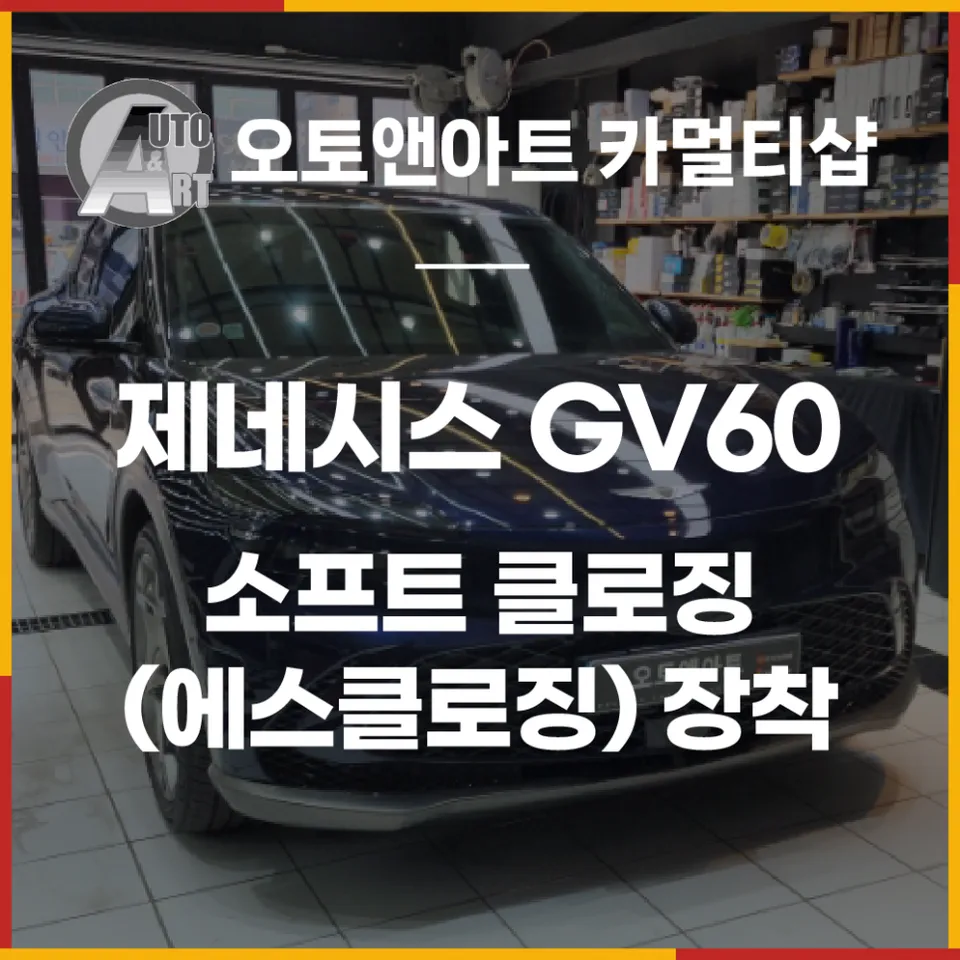 Genesis GV60 oem options installation result