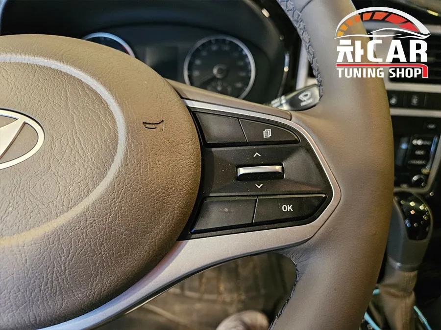 Hyundai Porter 2 oem options - Hyundai Porter 2 Organ Pedal & Cruise Control Upgrade Review photo 3