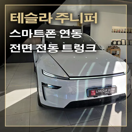 Tesla Juniper oem options installation result