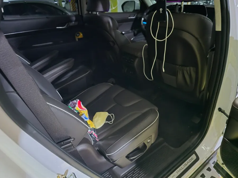 Hyundai Palisade ambient lighting - Hyundai Palisade Ambient Lighting Review — Cost & Results photo 3