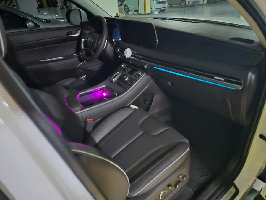 Hyundai Palisade ambient lighting - Hyundai Palisade Ambient Lighting Review — Cost & Results photo 4