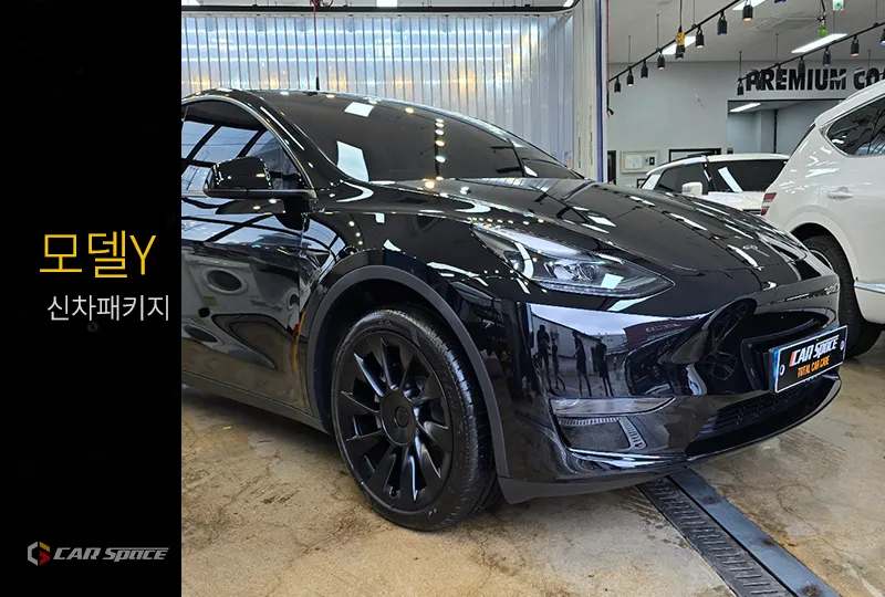 Tesla Model Y New Car Protection Package Review