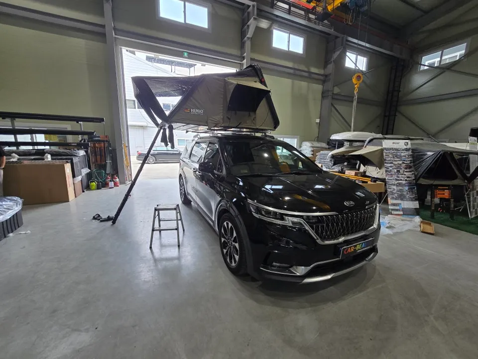 Kia Carnival KA4 ambient lighting installation result
