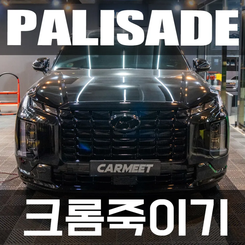Kia Palisade vinyl wrap installation result