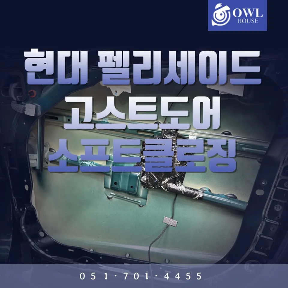 Hyundai Palisade LX3 oem options installation result