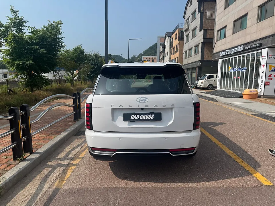 Hyundai Palisadeのカーラッピング事例｜費用目安・仕上がり 施工写真 3-1