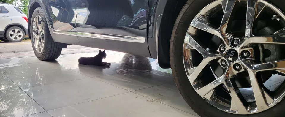 Kia Sorento Body Kit Installation Review photo 2