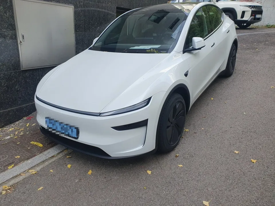 Tesla Model Y new car package installation result