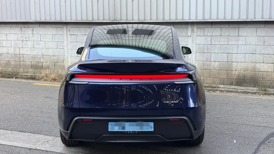 Tesla Model Yのカーラッピング事例 施工写真 2-2