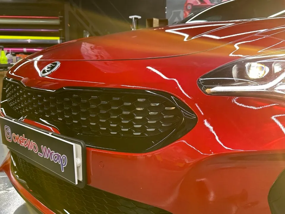 Kia Stinger vinyl wrap - Kia Stinger Vinyl Wrap Review: Chrome Delete Transformation photo 3