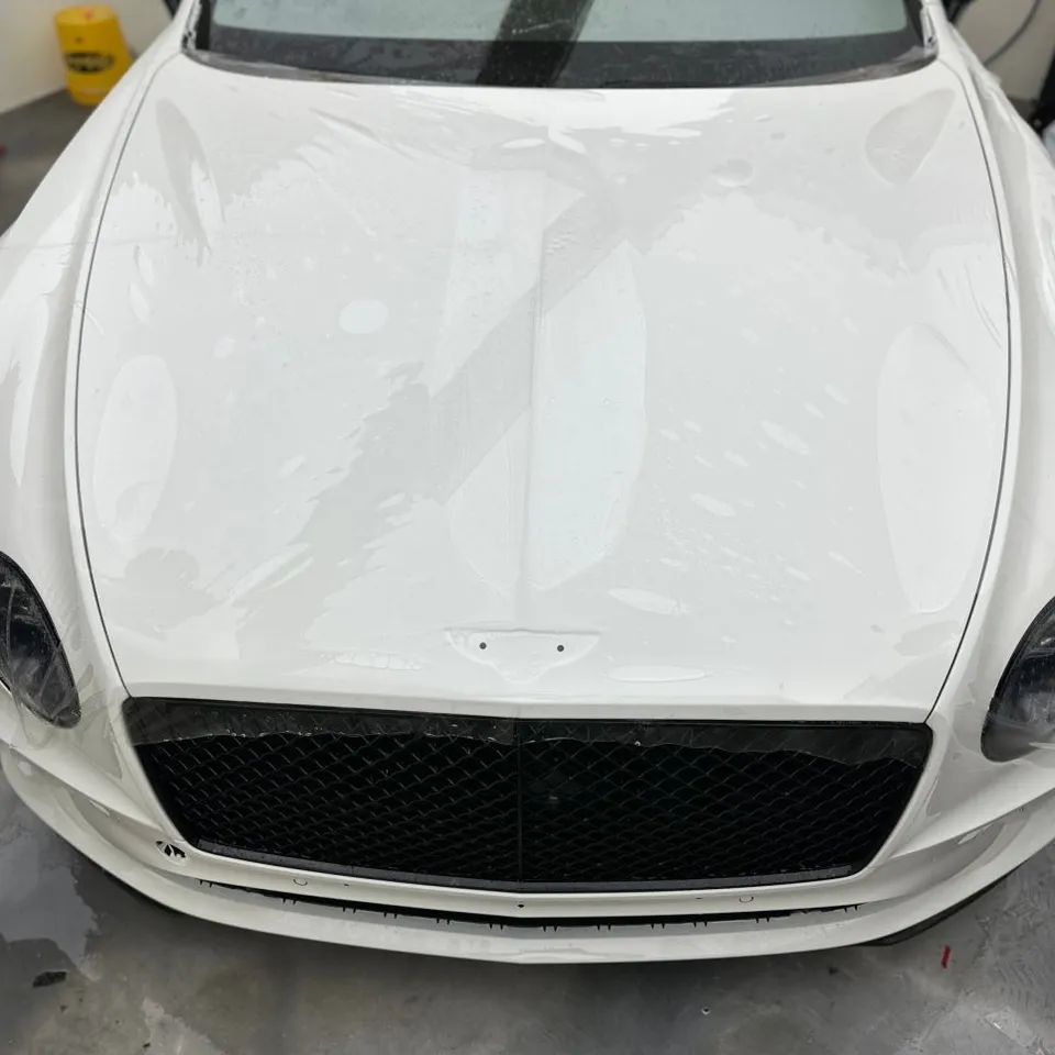 Bentley Continental GTのPPF施工事例|費用目安と仕上がり 施工写真 3-1