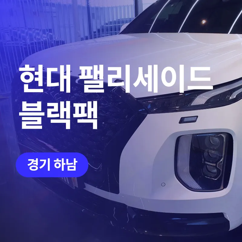 Hyundai Palisade Chrome Delete Review: Blackout Trim Transformati photo 1