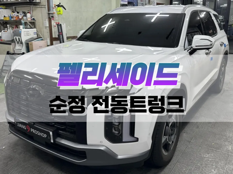 Hyundai Palisade oem options installation result