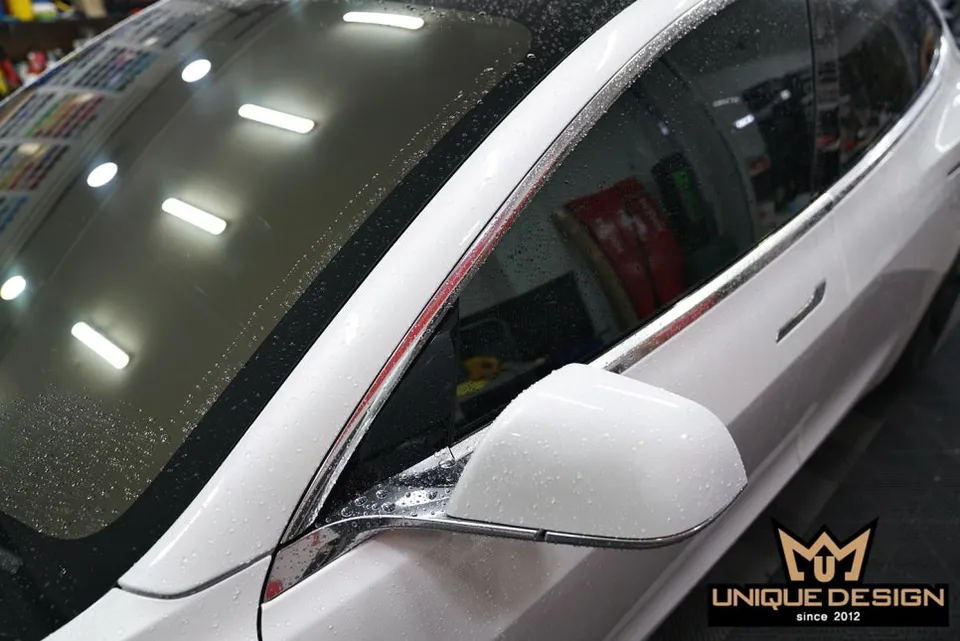 Tesla Model 3 chrome delete - Tesla Model 3 Chrome Delete Review — Matte Black Transformation photo 4