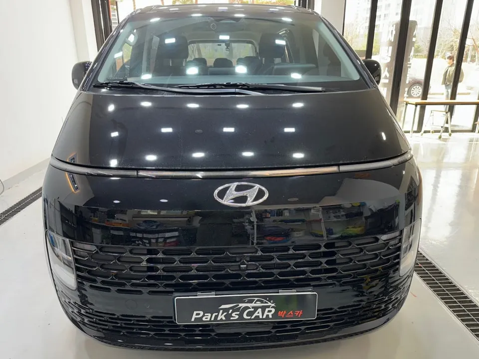 Kia Carnival ppf review