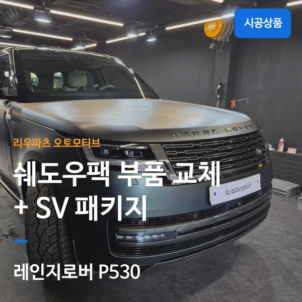 기타 기타 paint correction installation result