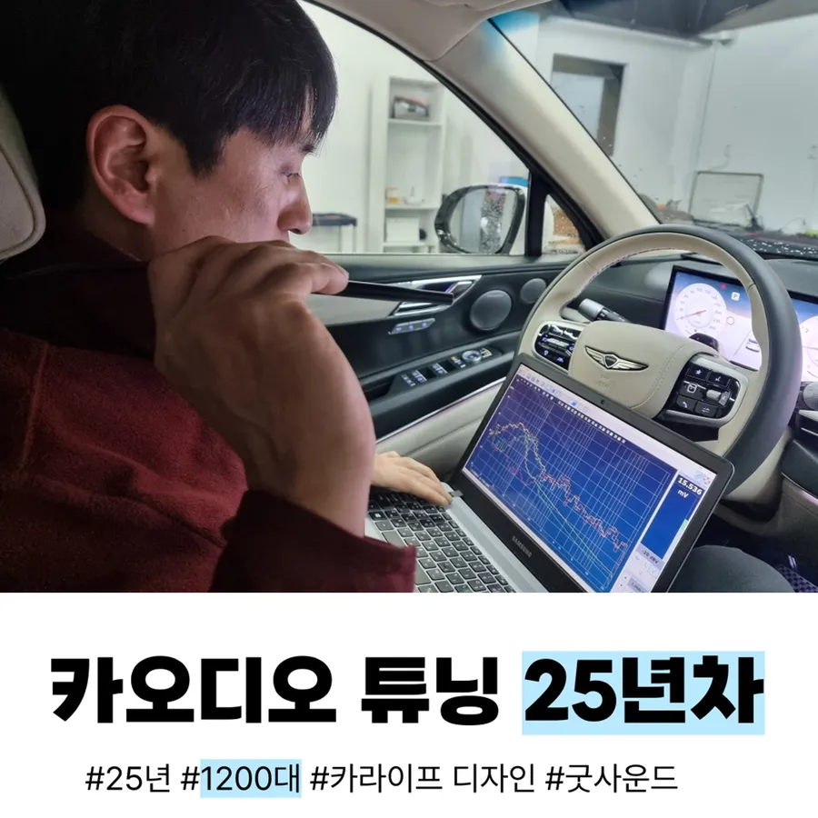 Mercedes-Benz S-Class W222 car audio installation result